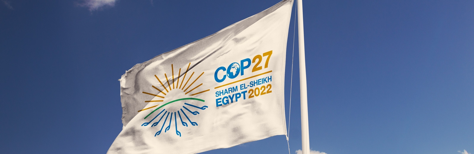 COP27 flag waves in the wind