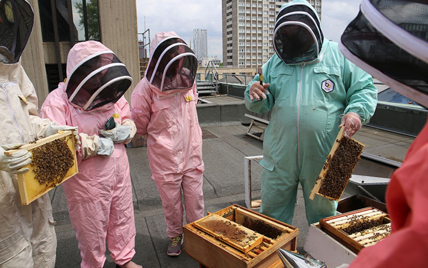 Students and staff learn about bees at City's hive