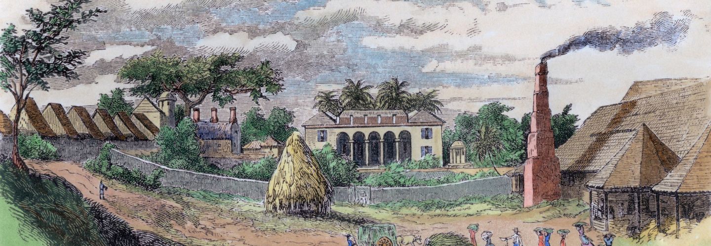 Depiction of Cuban sugar plantation