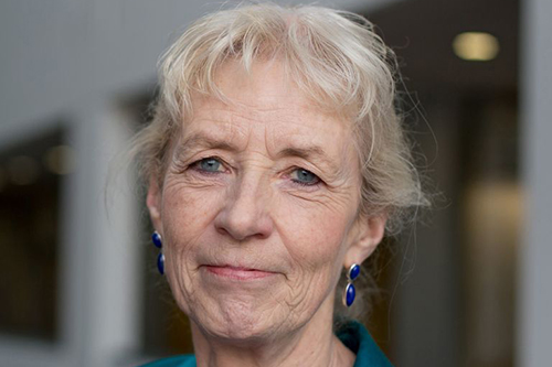 Professor Rosemary Hollis