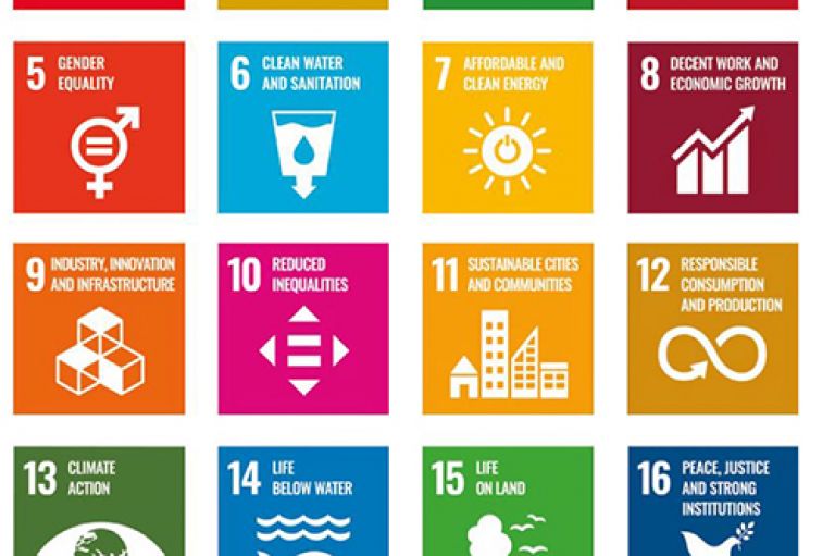 Infographic grid of sustainable goals