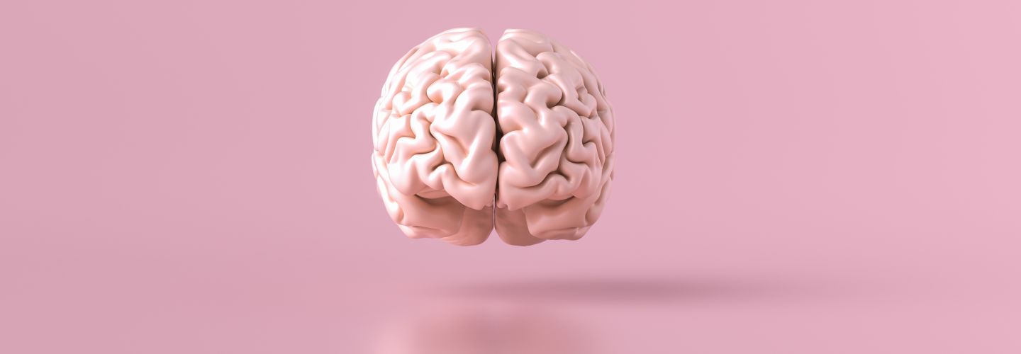 Pink brain on a pink background