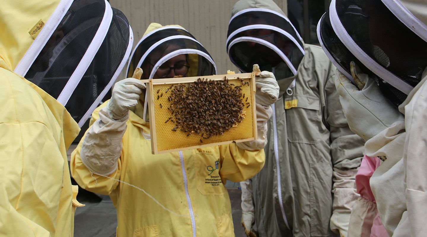 Participants at the beekeeping session hold up a honey super frame