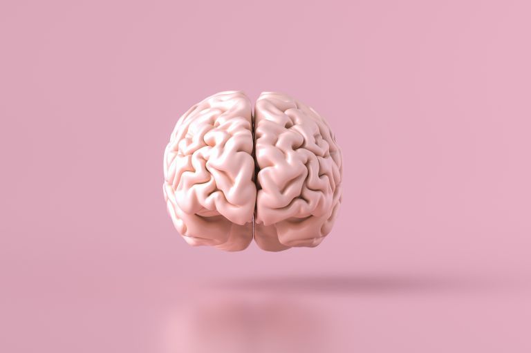 Pink brain on pink background