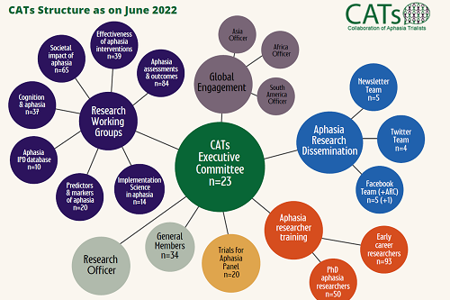 Infographic showing the CATs Structure as on June 2022, with committees, working groups, functions and roles set out as interconnected nodes, with the CATs Executive Committee of 23 members at its centre.