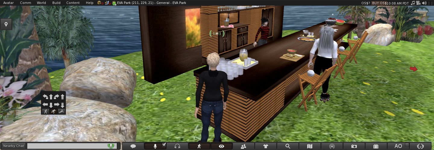 Screenshot of eva park an online virtual world