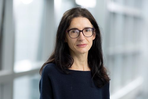 Professor Sonia Falconieri takes up new senior role