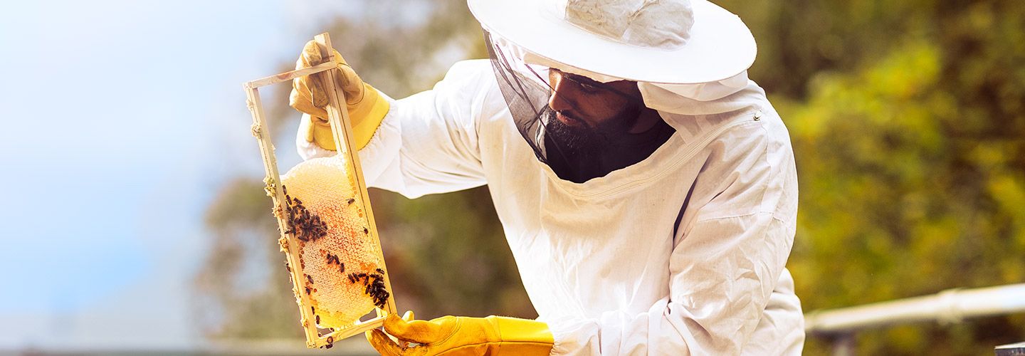 Male student in bee suit holding a honeycomb